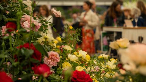 Chelsea Flower Show - 8 Days