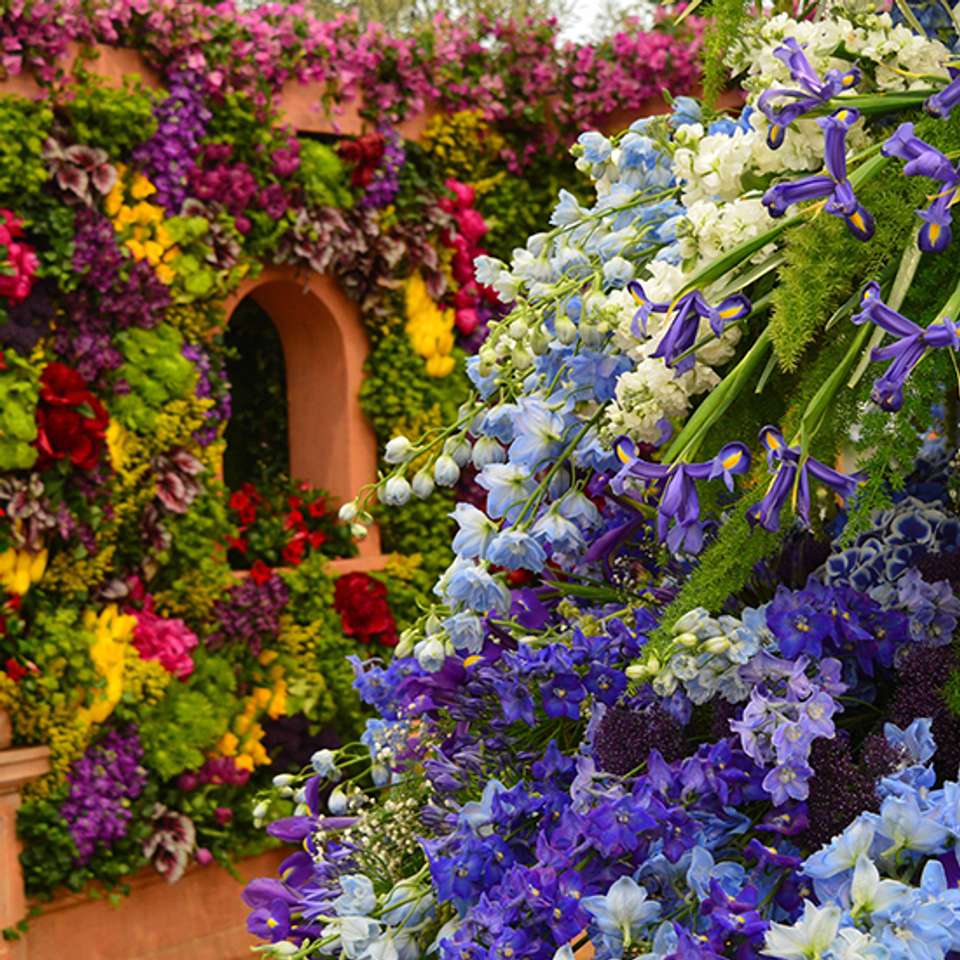 Chelsea Flower Show - Back-roads Touring - England