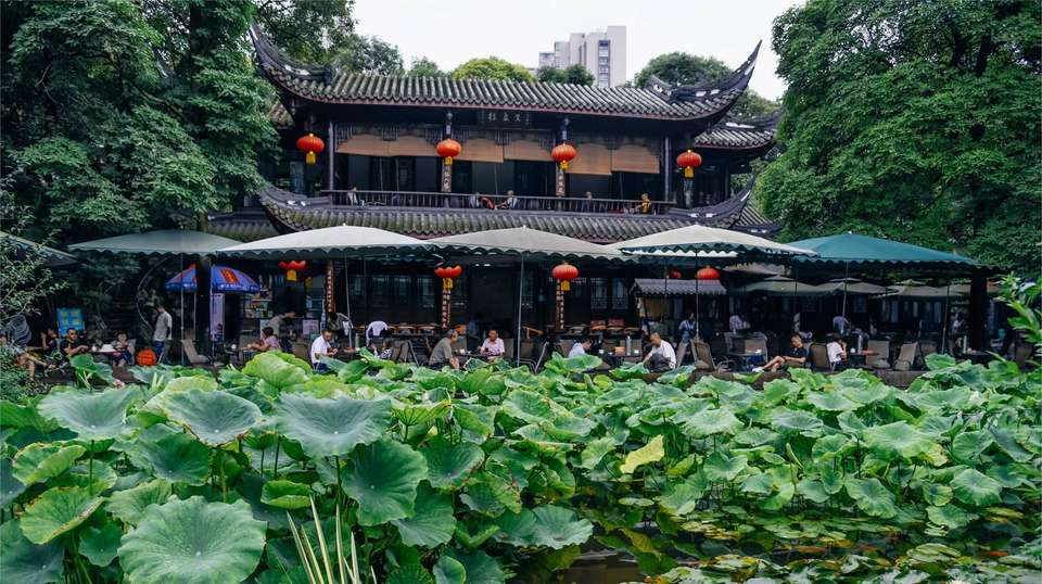 Chengdu’s Natural Panda Paradise - undefined - Image 21