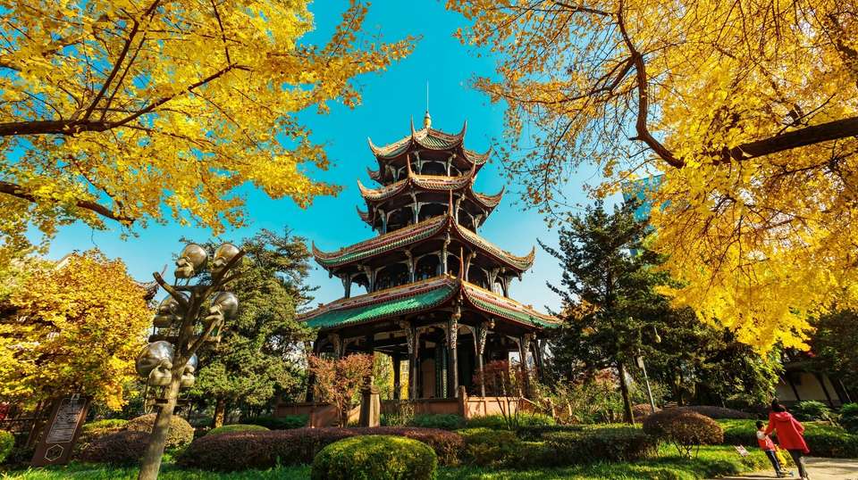Chengdu’s Natural Panda Paradise - undefined - Image 13