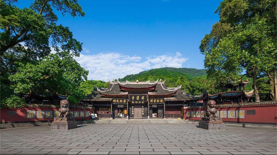Chengdu’s Natural Panda Paradise - undefined - Image 6
