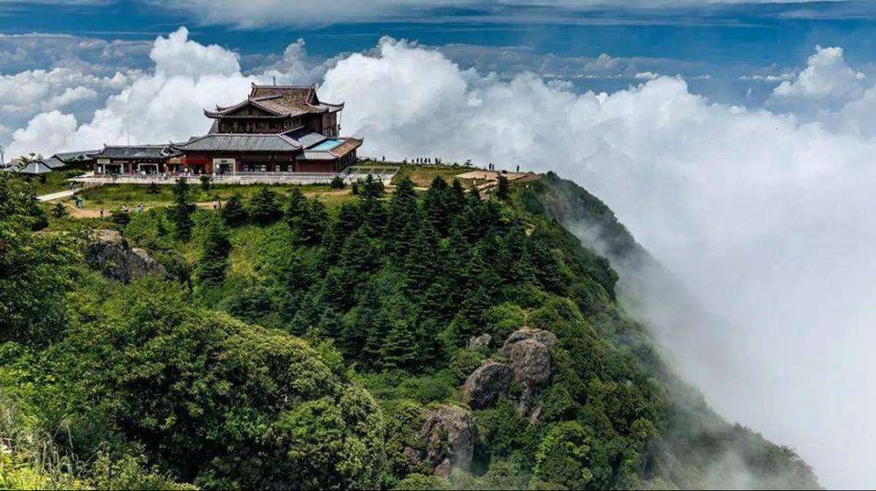 Chengdu’s Natural Panda Paradise - undefined - Image 4