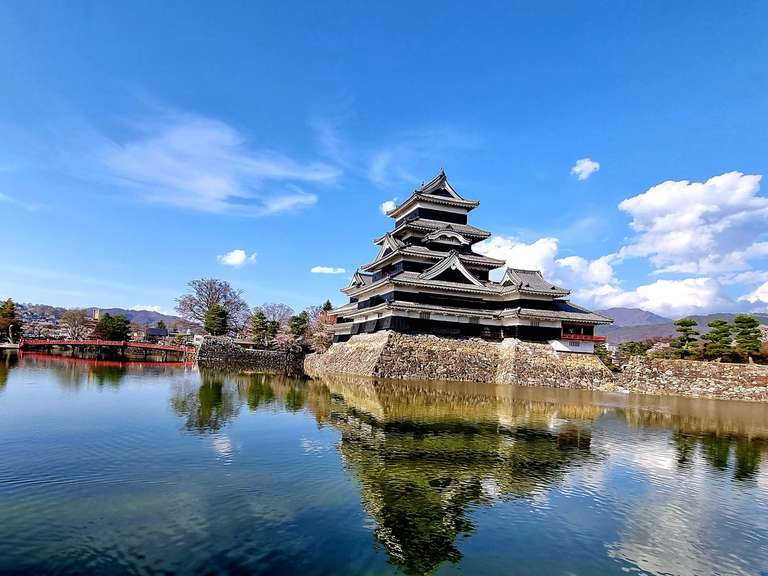 Cherry Blossom Festival - 13 days trip - alternative tour available
