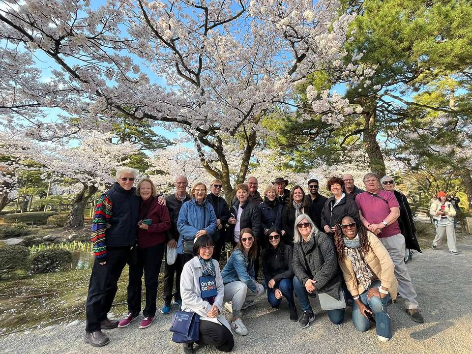 Cherry Blossom Festival - 13 days - On The Go Tours - Japan - Image 3
