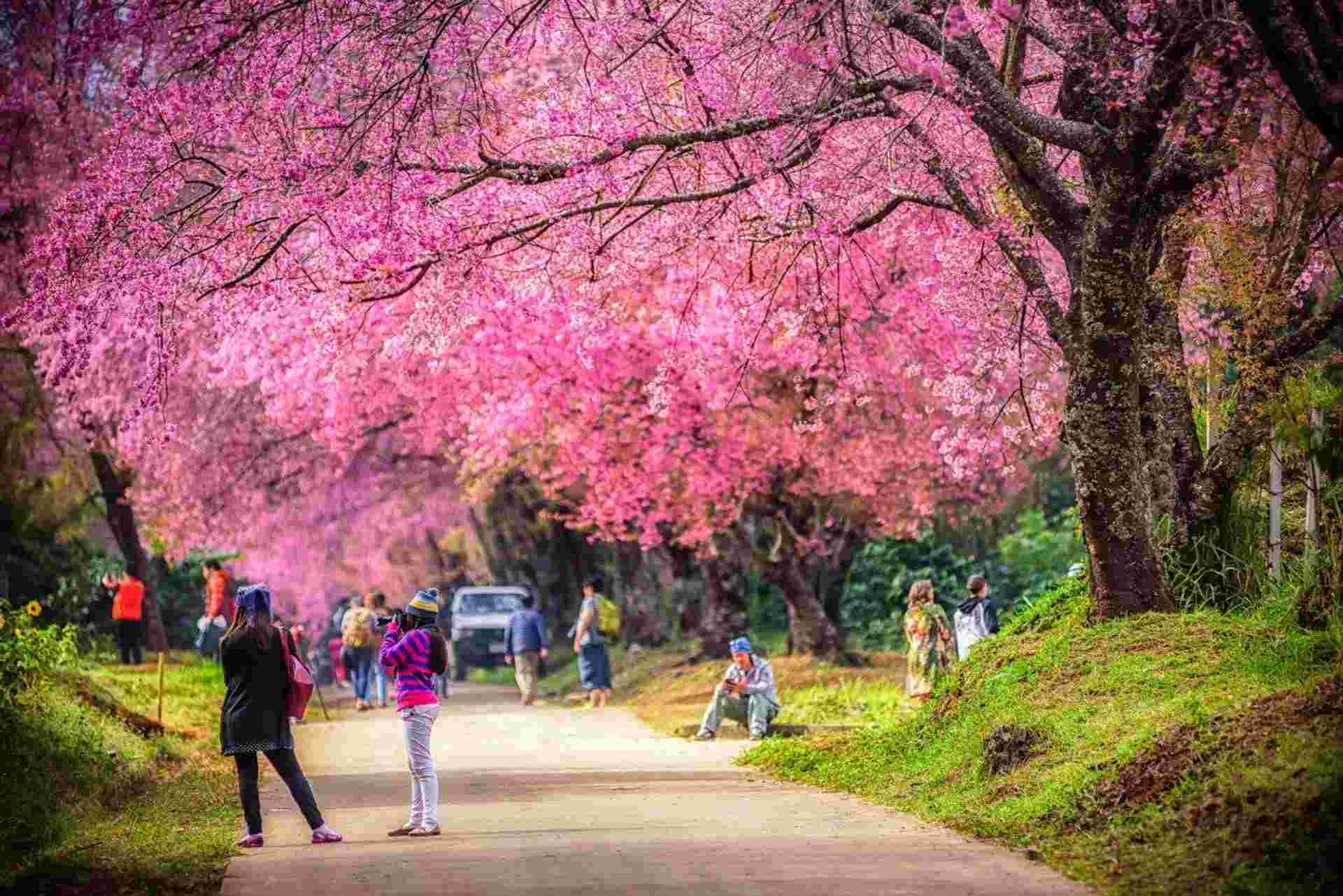 Chiang Mai City Package