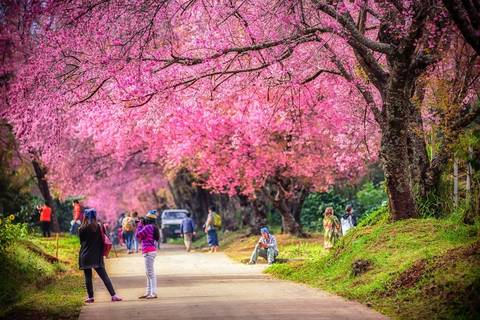 Thailand Tailor-made Vacation Packages: Chiang Mai City Package
