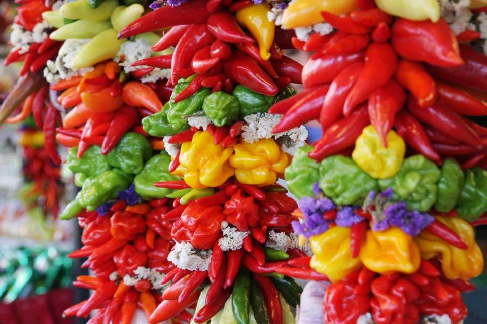 Chiapas Experience - Destination Services - Mexico - Image 14