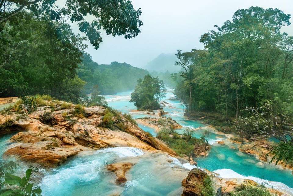 Chiapas Experience - Destination Services - Mexico - Image 13