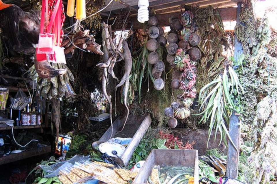 Chiclayo City Tour and Witch Market - Tangol Tours - Peru - Image 8