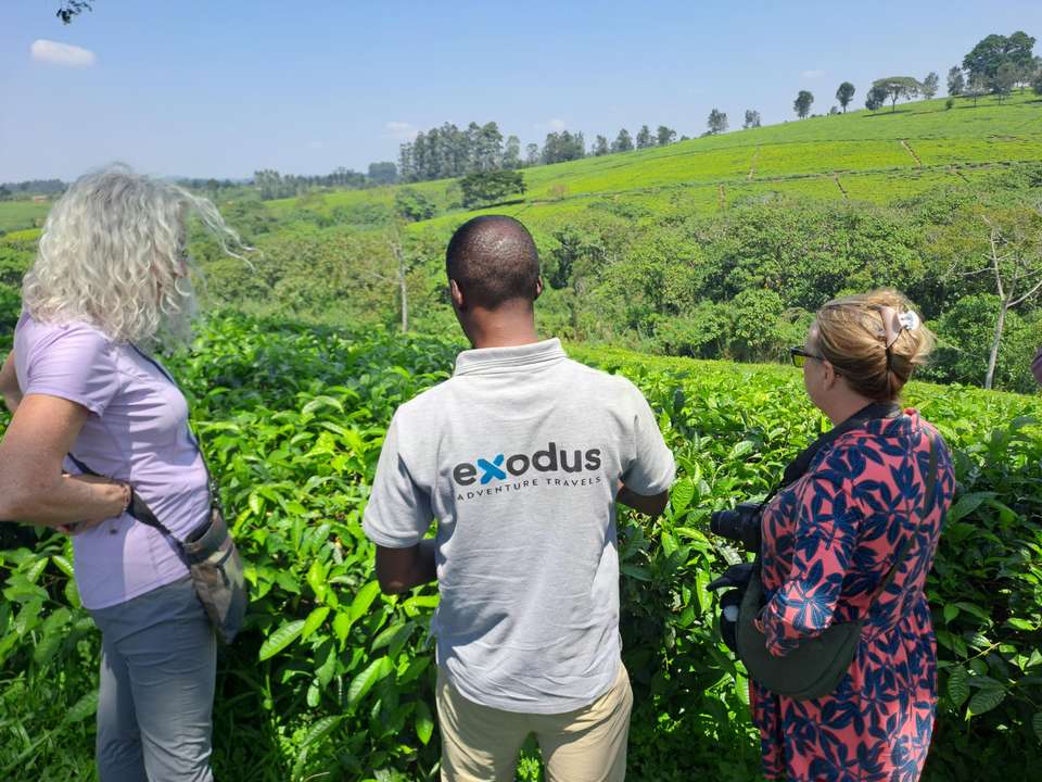 Chimps & Gorillas of Uganda - Exodus Adventure Travels - Uganda