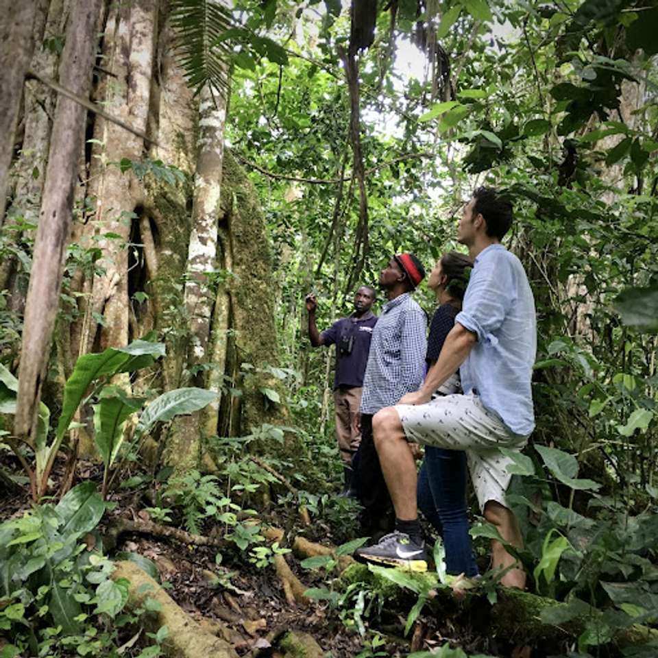 Chimps & Gorillas of Uganda - Exodus Adventure Travels - Uganda