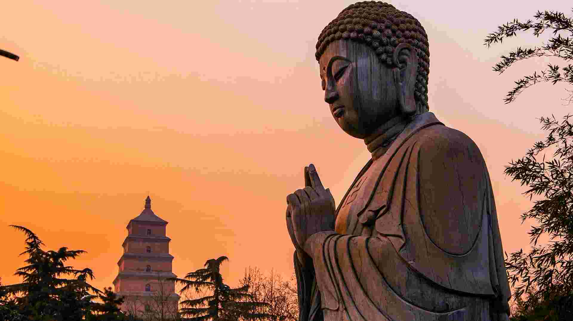 China 7 Days Historical Tour: Beijing, Luoyang & Xian 