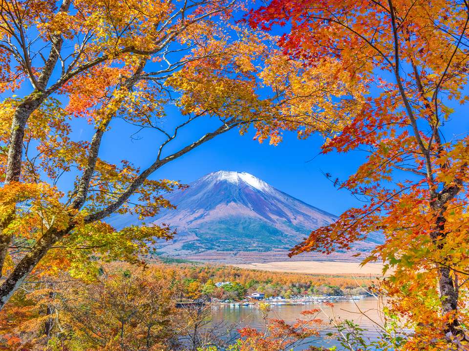 China & Japan Express (Superior) - 12 days - On The Go Tours - China