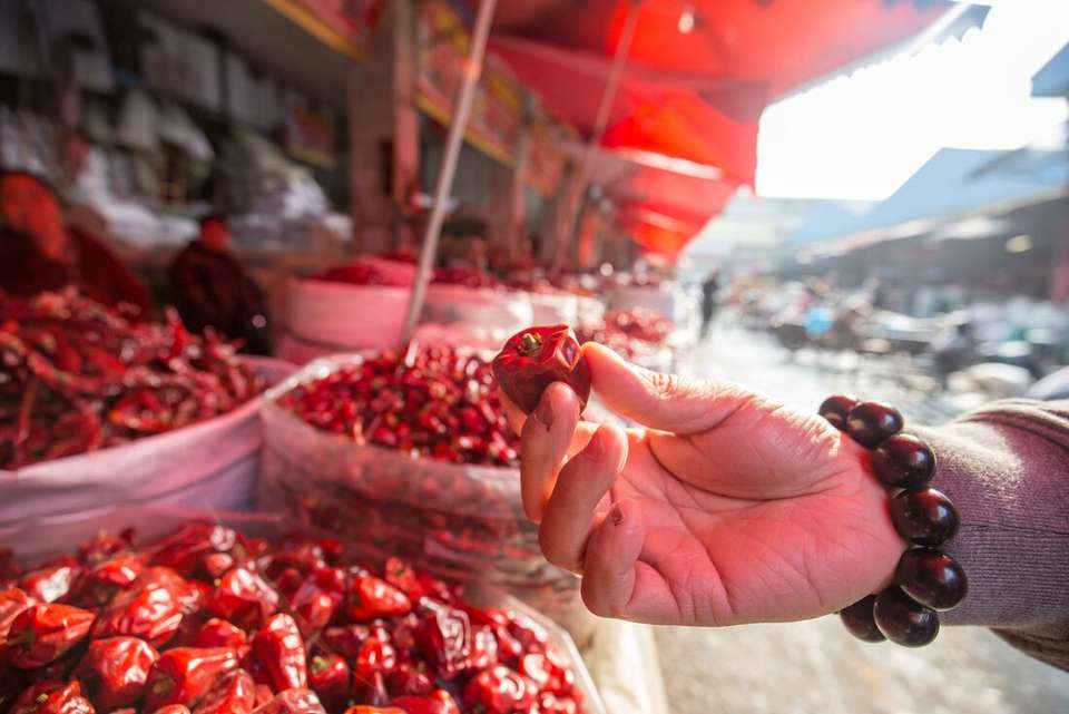 China Experience - Intrepid Travel - China - Image 8