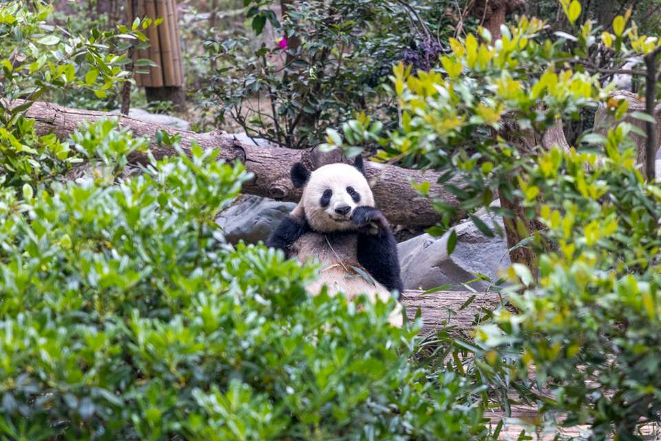 China Real Food Adventure - Intrepid Travel - China - Image 16