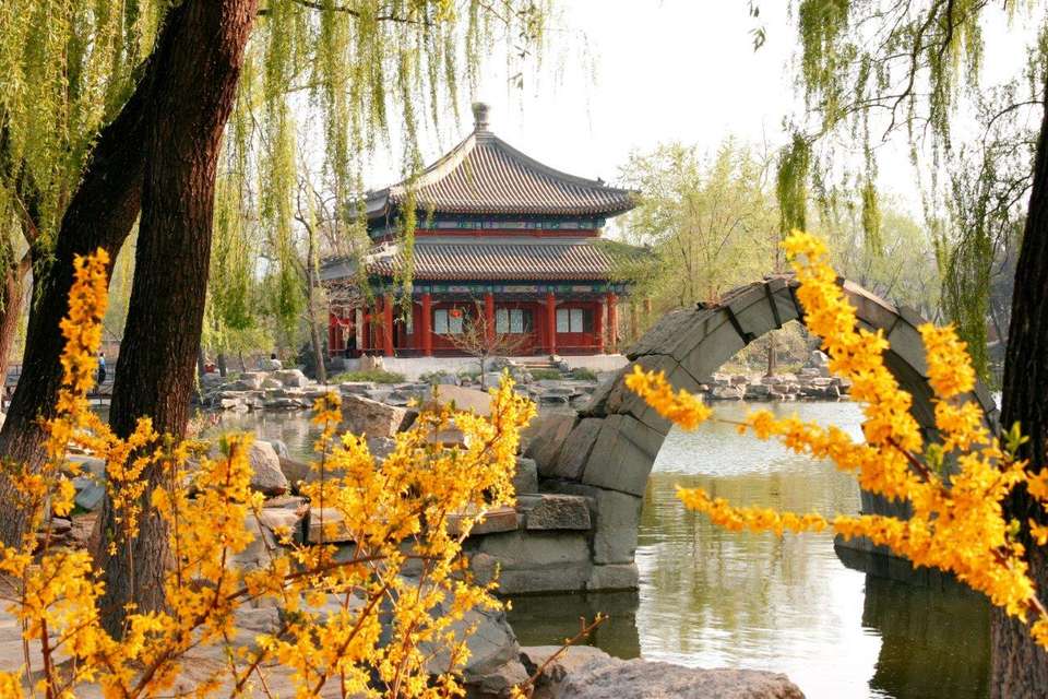 Chinese Ancient Heartland, Private Tour - Destination Services - China - Image 7