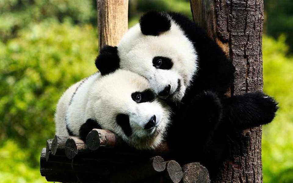 Chinese Cuisine and Culture - Truly China Travel - China - Image 12