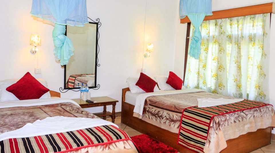 3 Nights 4 Days Chitwan Jungle Safari Tour from Kathmandu - Breakfree Adventures Pvt Ltd - Nepal - Image 5