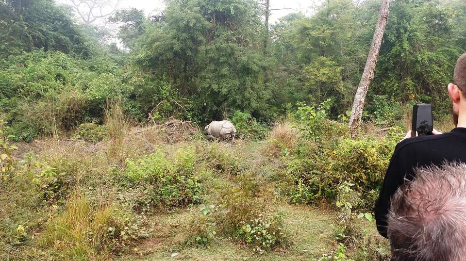 3 Nights 4 Days Chitwan Jungle Safari Tour from Kathmandu - Breakfree Adventures Pvt Ltd - Nepal - Image 12