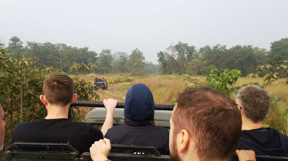 3 Nights 4 Days Chitwan Jungle Safari Tour from Kathmandu - Breakfree Adventures Pvt Ltd - Nepal - Image 13