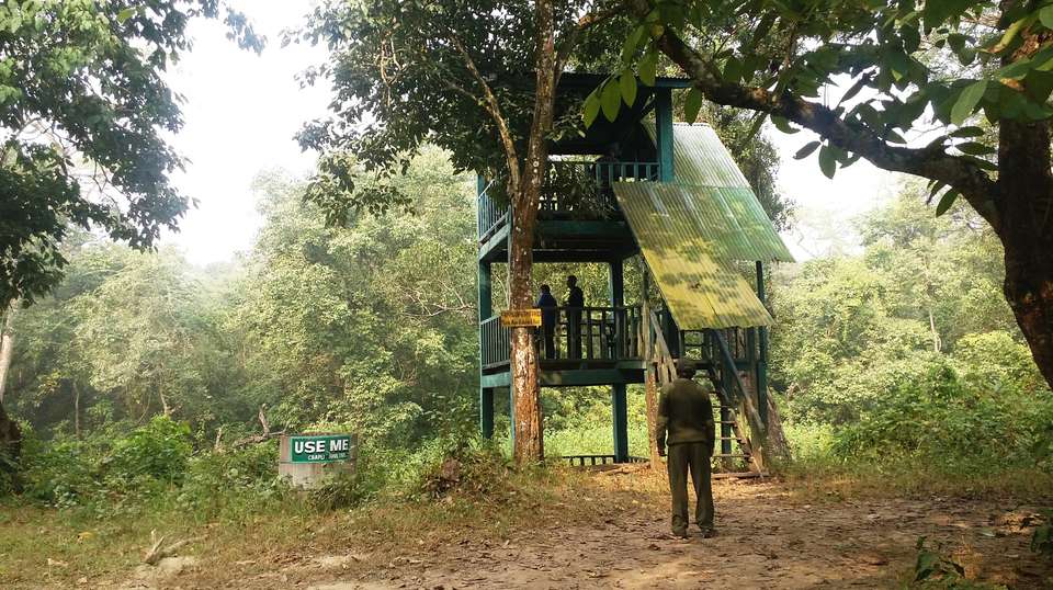 3 Nights 4 Days Chitwan Jungle Safari Tour from Kathmandu - Breakfree Adventures Pvt Ltd - Nepal - Image 14