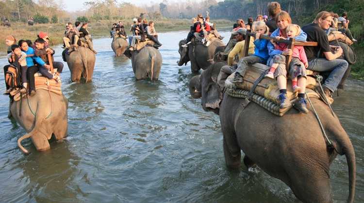 Chitwan National Park Safari