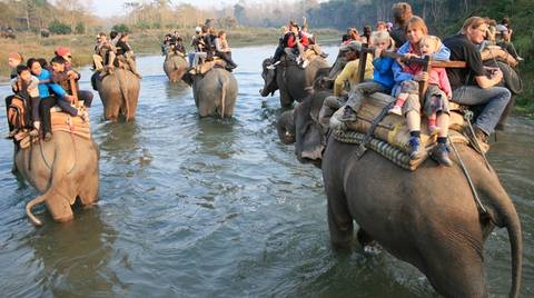 Chitwan National Park Safari - October 2026