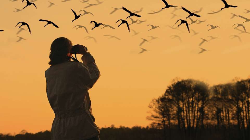 Chitwan Wilderness Experience: Three Days - Unique Adventure International Pvt Ltd - Nepal - Image 2