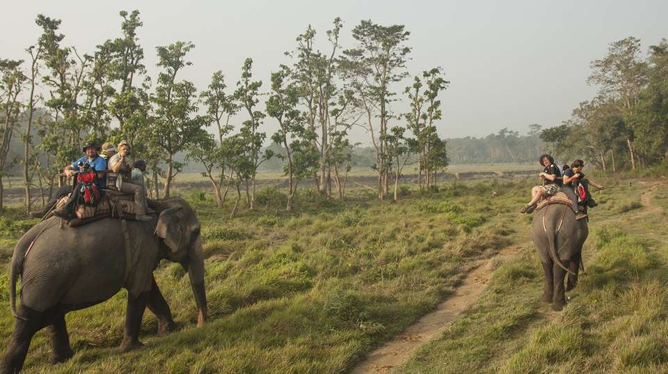 Chitwan Wilderness Experience: Three Days - Unique Adventure International Pvt Ltd - Nepal - Image 3