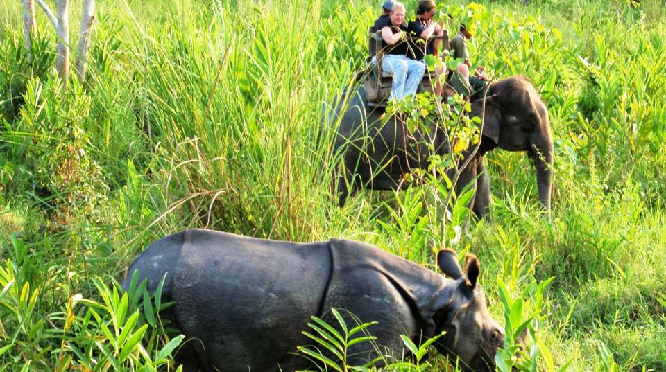 Chitwan Wilderness Experience: Three Days - Unique Adventure International Pvt Ltd - Nepal - Image 4