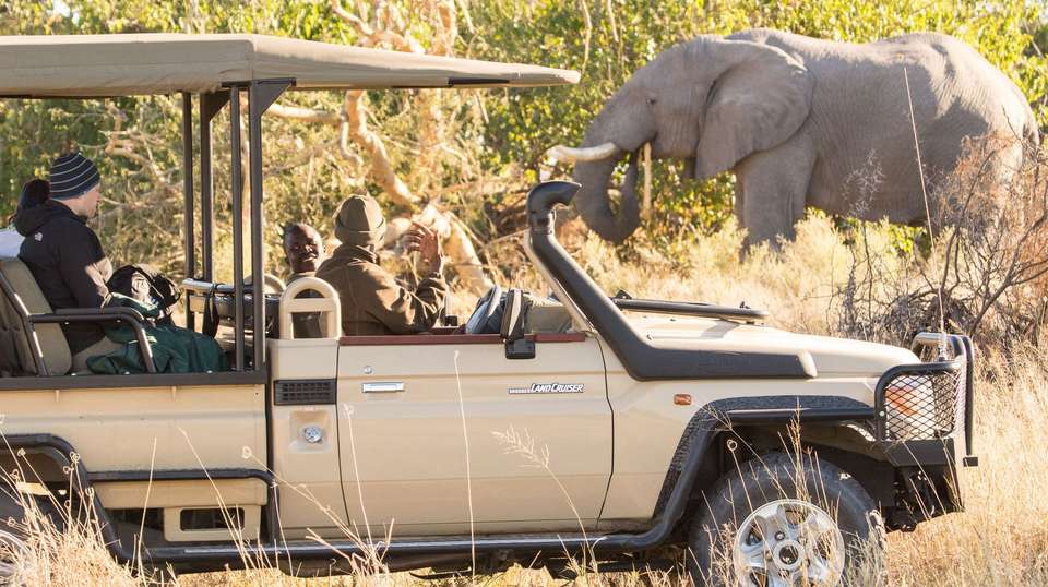 Chobe National Park Extended Day Trip - Dk Tours & Safaris - Zimbabwe - Image 3