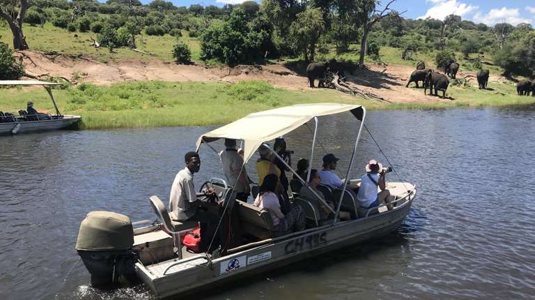 Chobe National Park Extended Day Trip - January 2027