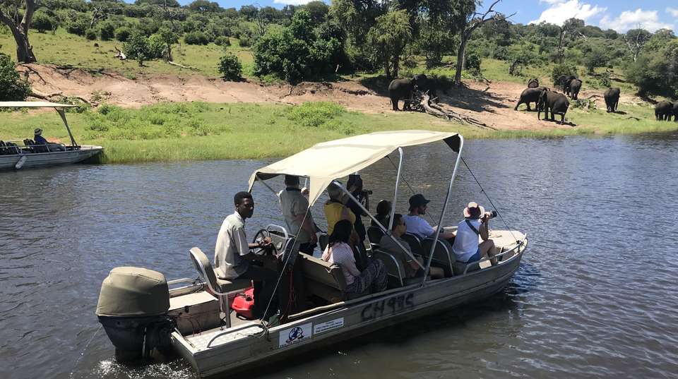 Chobe National Park Extended Day Trip - Dk Tours & Safaris - Zimbabwe - Image 1