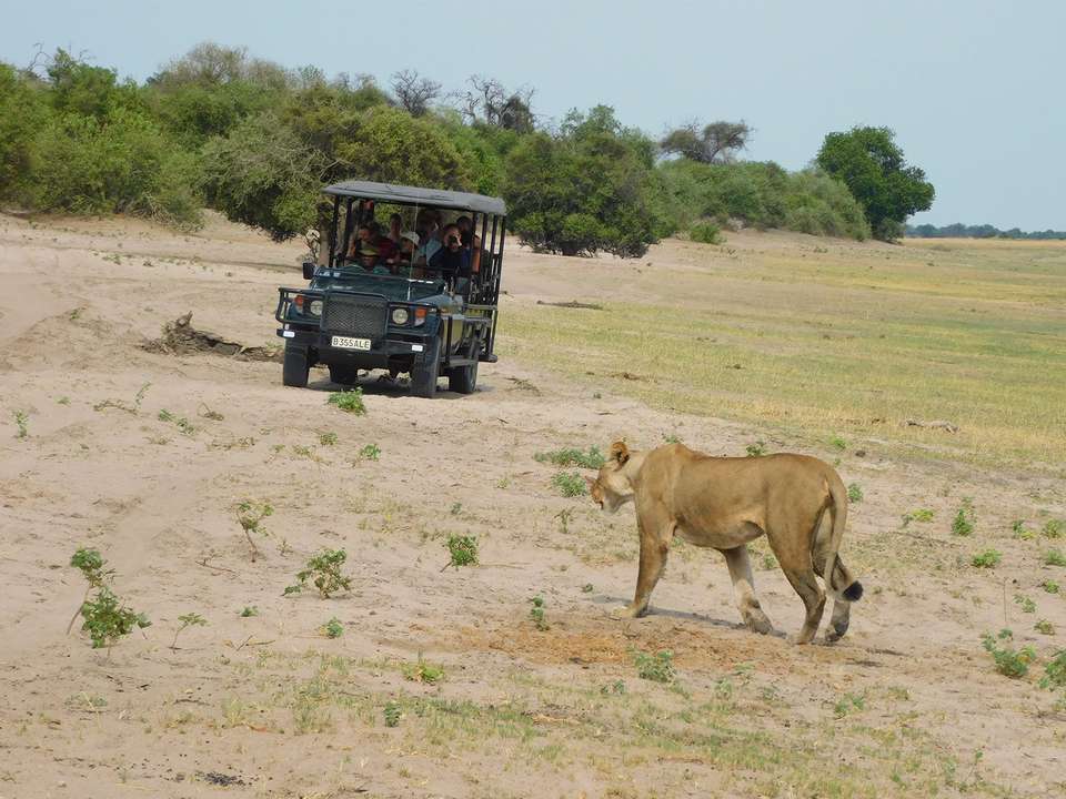Chobe, Okavango & Etosha - 14 days - On The Go Tours - Zimbabwe - Image 2
