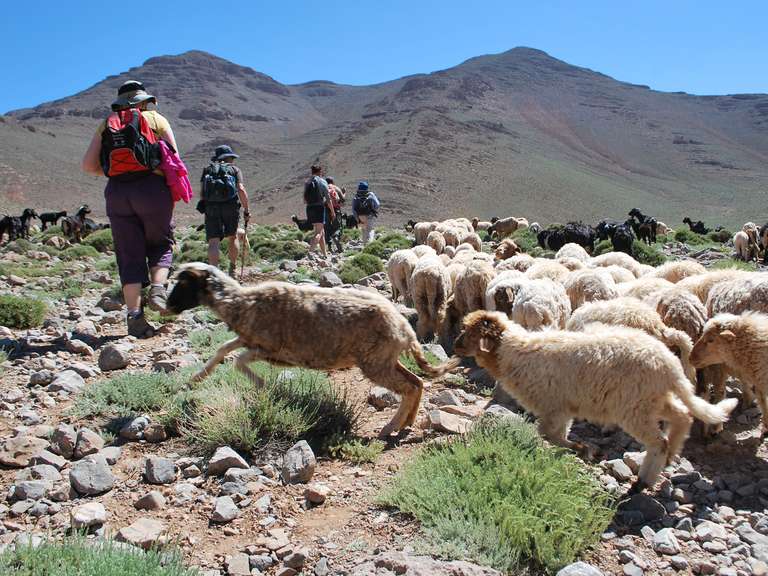 Christmas in Morocco - 8 days trip - alternative tour available