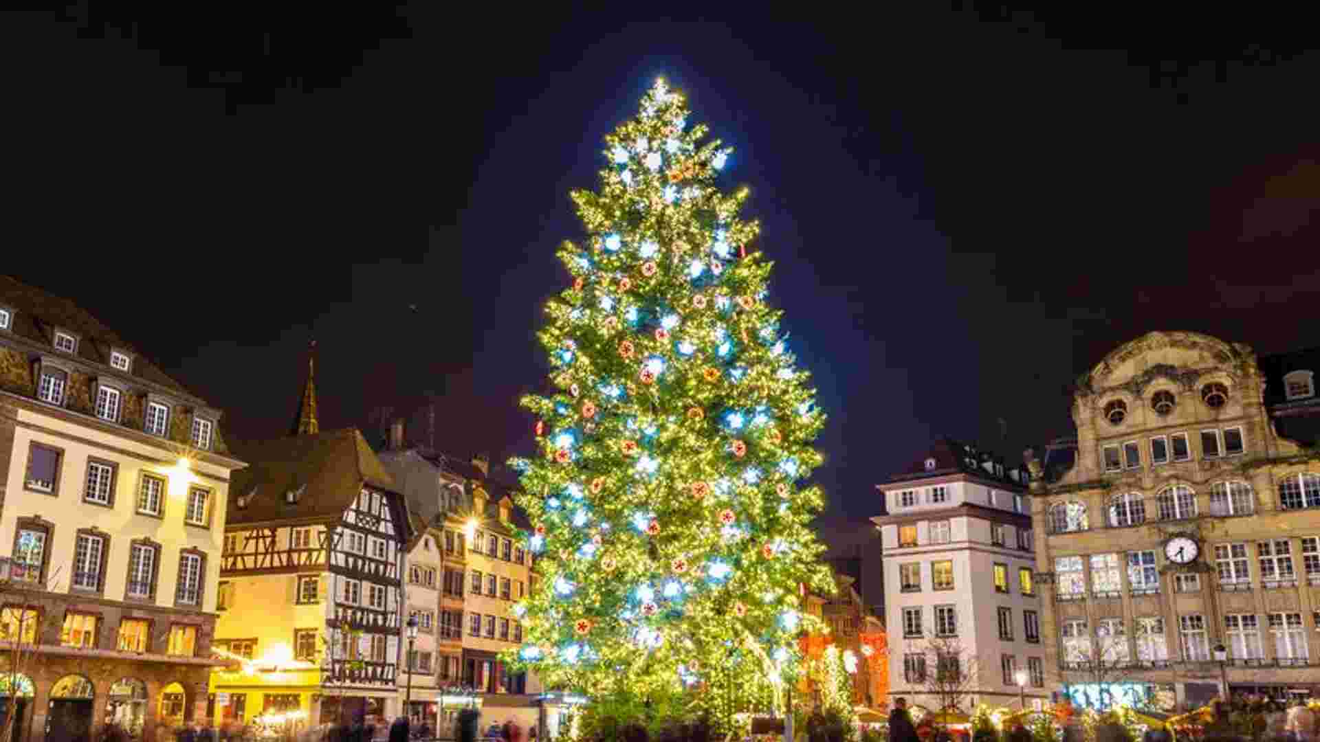 Christmas on the romantic Rhine, the enchantment of the Lorelei Rock (port-to-port cruise)