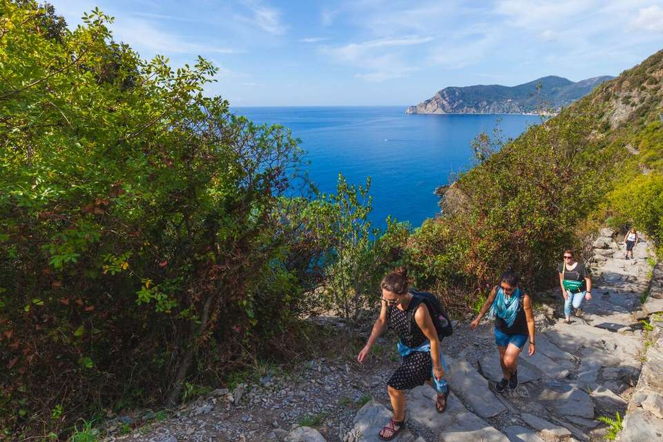 Cinque Terre: Hike, Bike & Kayak - Intrepid Travel - Italy - Image 4