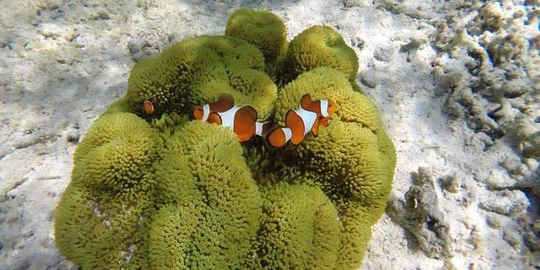 Classic Bali & Komodo Island - 8 days