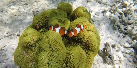Classic Bali & Komodo Island - July 2027