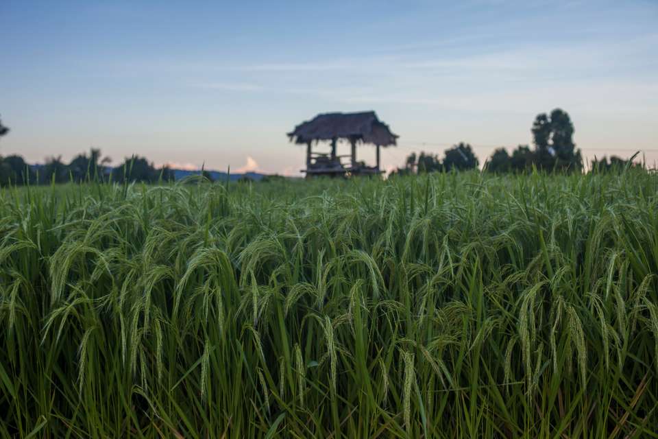 Classic Bali & Lombok - undefined - Image 6