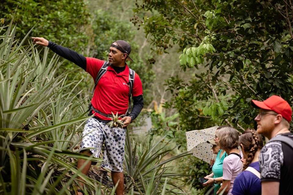 Classic Borneo - Intrepid Travel - Malaysia