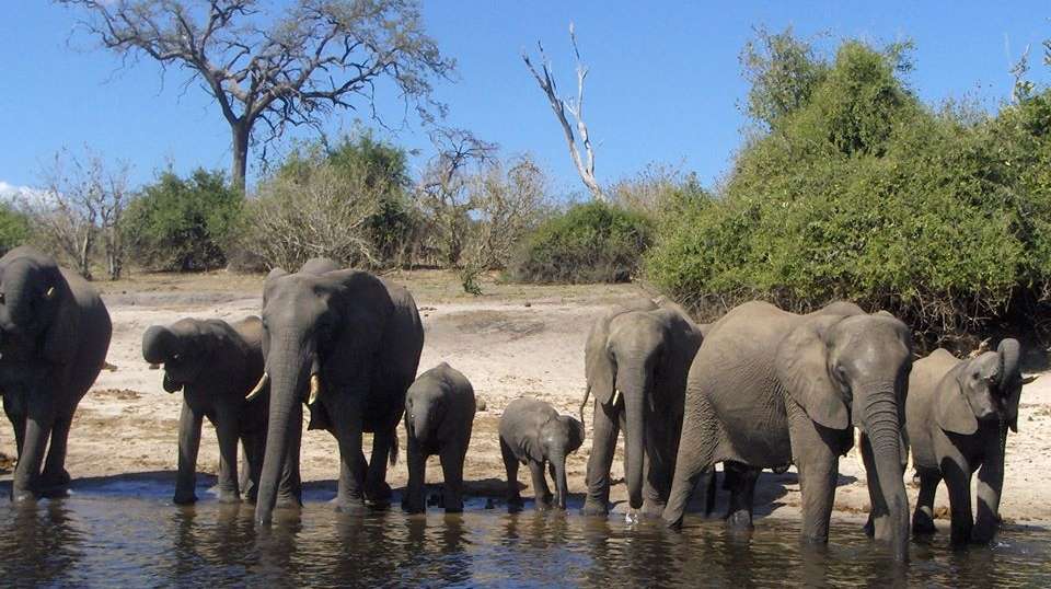 Classic Bush Safari Adventure in Tanzania - Nature Bound Africa - Tanzania - Image 2