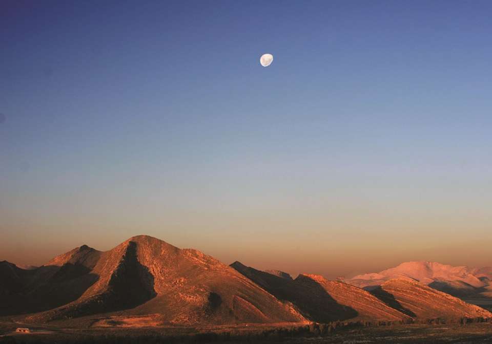 Classic Cape Town and Safari - Indus Travels - South Africa - Image 3