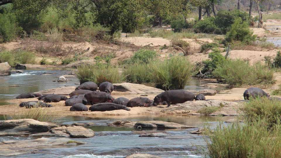 Classic Cape Town and Safari - Indus Travels - South Africa - Image 7