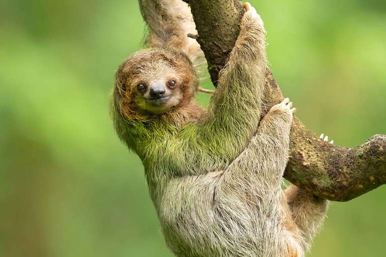 South America Budget Tours: Classic Costa Rica