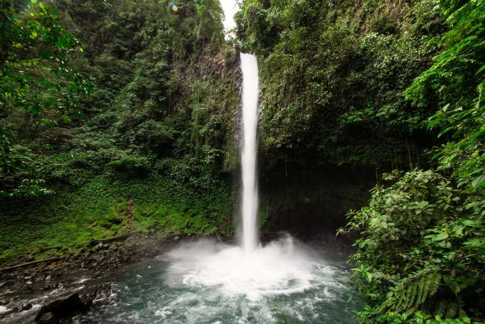 Classic Costa Rica - Intrepid Travel - Costa Rica - Image 19