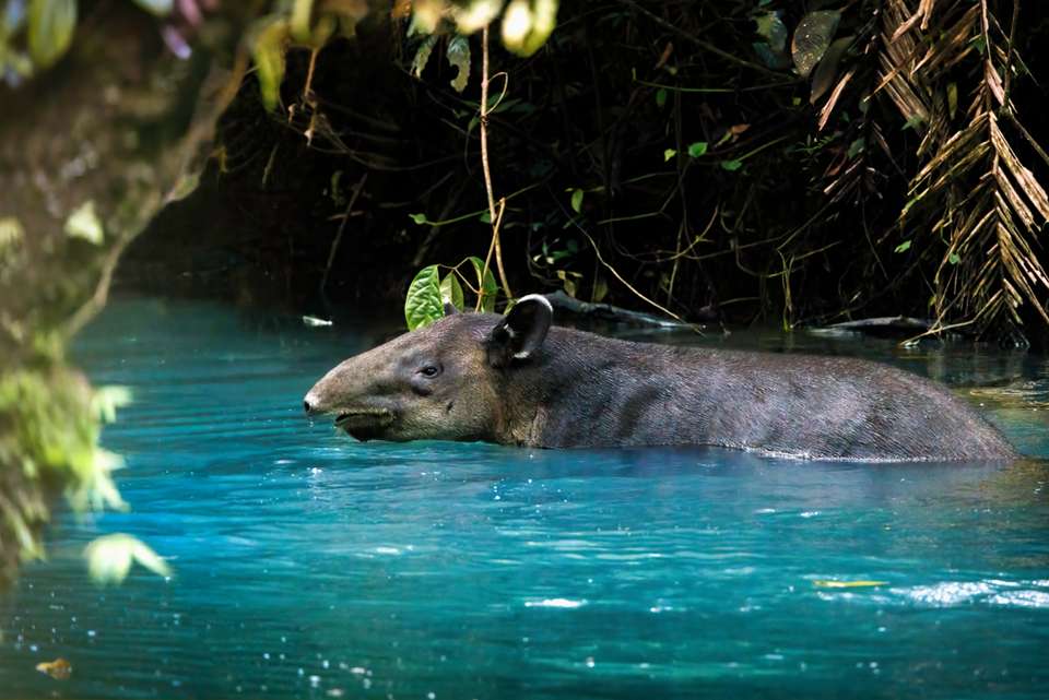 Classic Costa Rica - Intrepid Travel - Costa Rica - Image 13