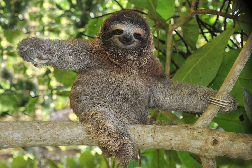 Classic Costa Rica - Intrepid Travel - Costa Rica - Image 11