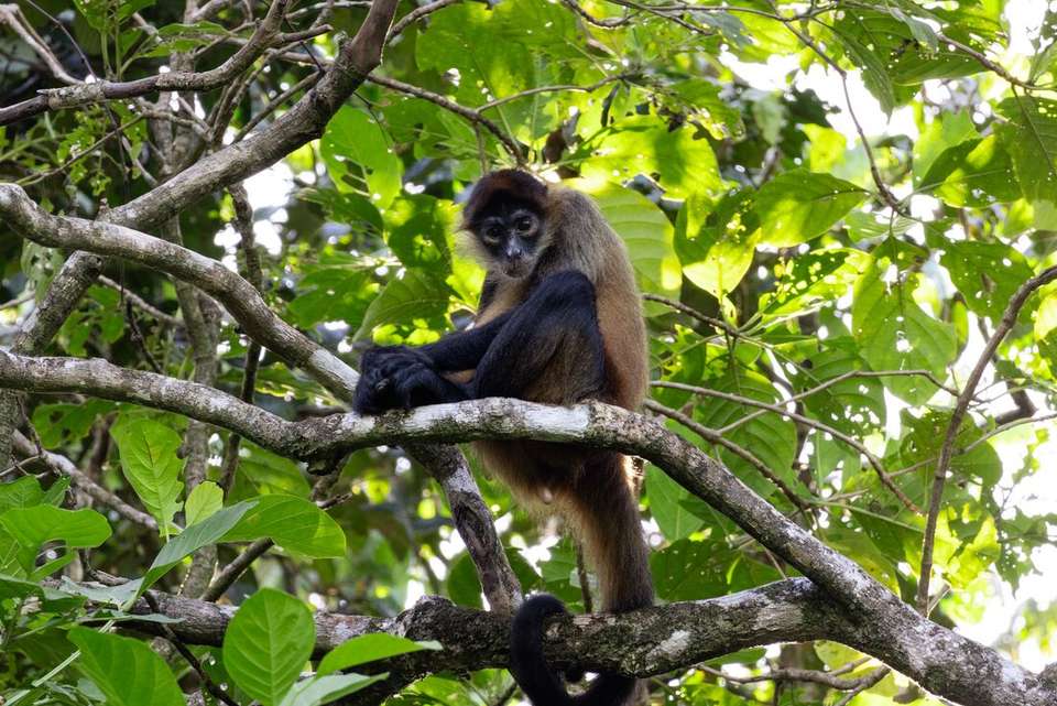 Classic Costa Rica - Intrepid Travel - Costa Rica - Image 10