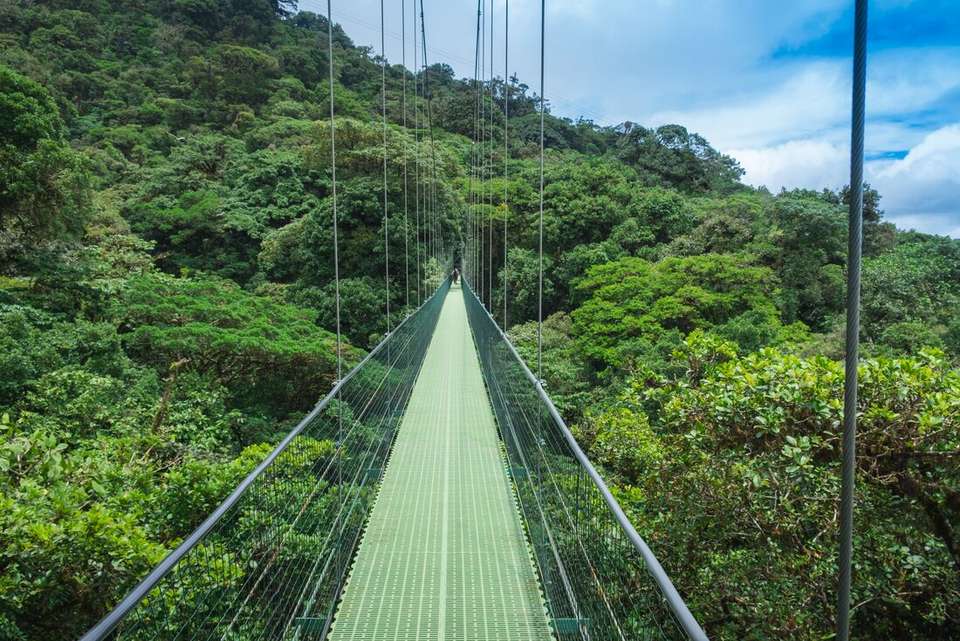 Classic Costa Rica - Intrepid Travel - Costa Rica - Image 6